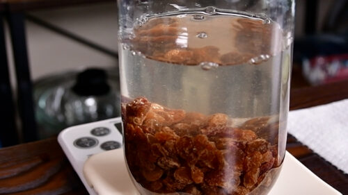 瓶にレーズン100gと浄水300mlを仕込んだ初日の状態