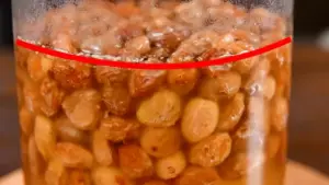 レーズンの表面からポツポツと小さな泡が出始めている状態