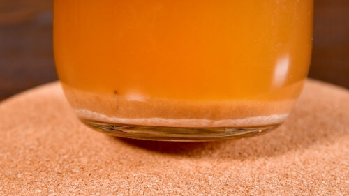 完成したレーズン酵母液の色とオリの量・最終確認の状態