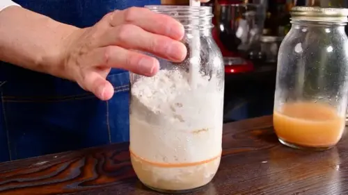 レーズン酵母液から元種を作る過程