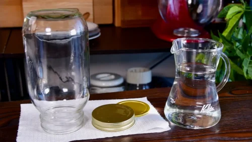 失敗しない自家製酵母（レーズン酵母）の育て方と本格ハードパン