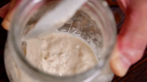 自家製酵母液の中で共存し、酸味や旨味を作り出す酵母と乳酸菌のイメージ