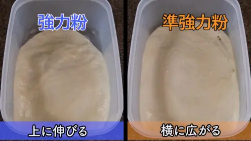 小麦粉の違いによる発酵の比較