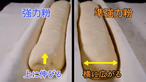 最終発酵の比較